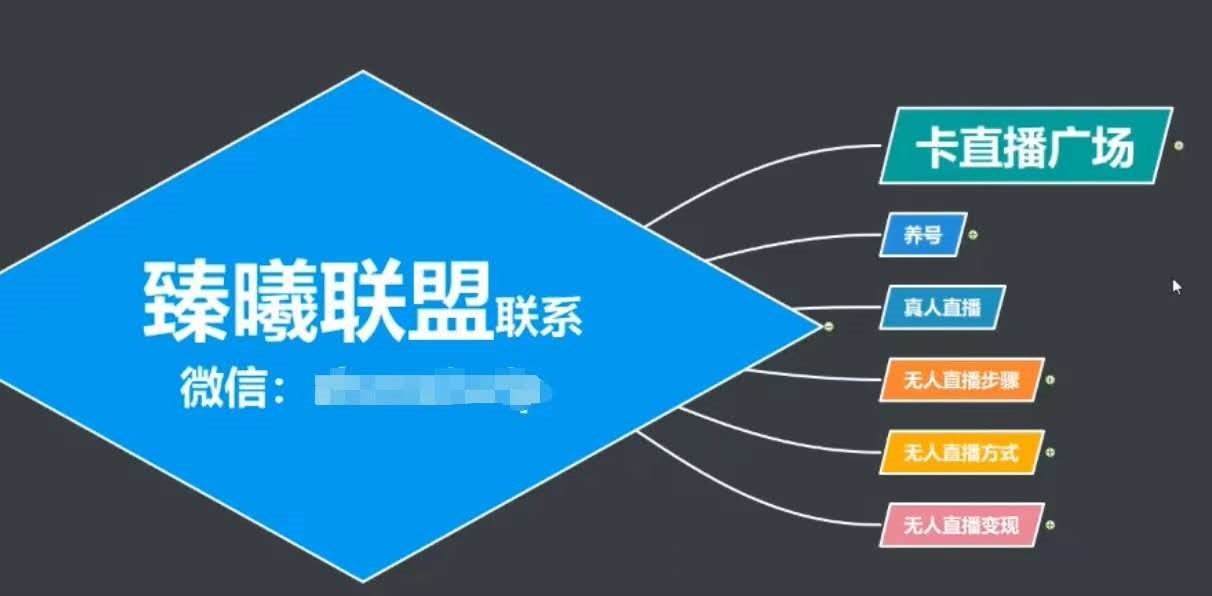 臻曦联盟，最新无人直播万人在线技术理原及详细操作步骤解析（视频教程）-启程资源站