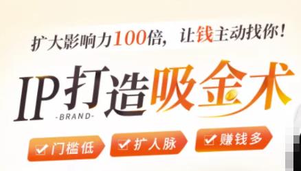 IP打造吸金术：0基础0资源，也能扩大影响力100倍，让钱主动找你！-启程资源站
