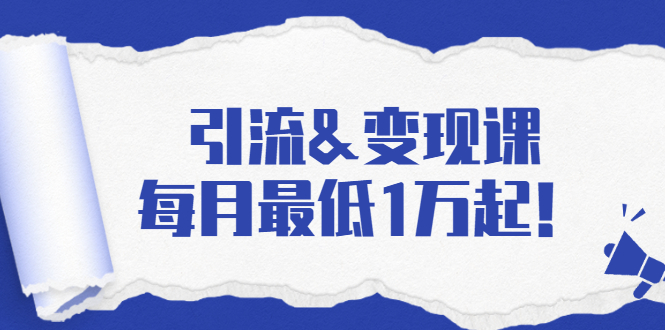 引流&变现课：分享一整套流量方法以及各个渠道收入，每月最低1万起！-启程资源站