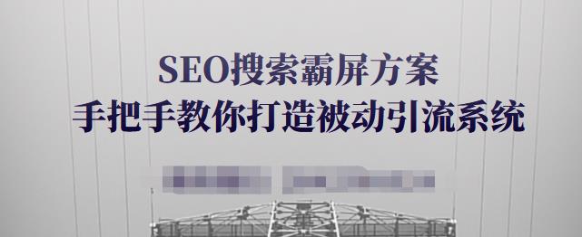 SEO搜索霸屏方案，手把手教你打造被动引流系统【视频课程】-启程资源站