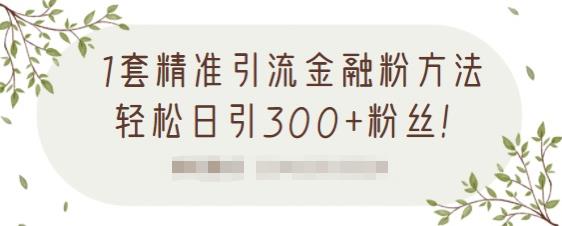 1套精准引流金融粉方法，轻松日引300+粉丝-启程资源站