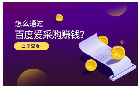 大王·怎么通过百度爱采购赚钱，已经通过百度爱采购完成200多万的销量-启程资源站