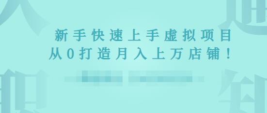 2022年虚拟项目实战指南，新手从0打造月入上万店铺-启程资源站