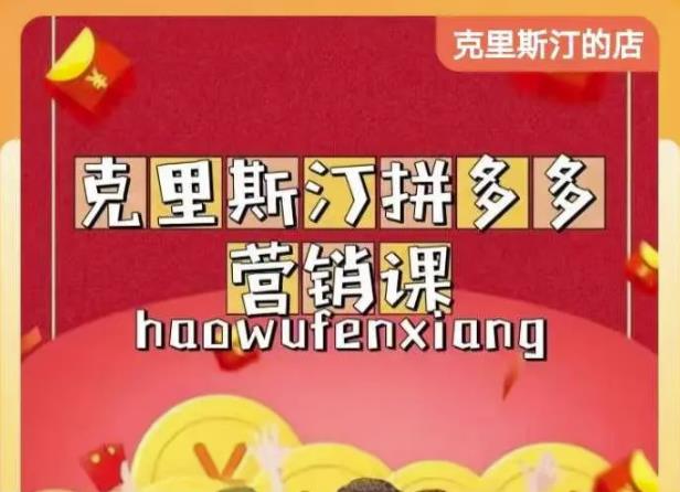 克里斯汀拼多多运营课，适合小白初涉平台，低成本入门-启程资源站