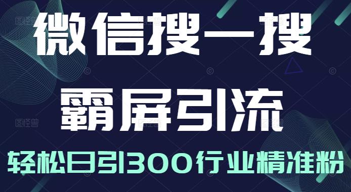微信搜一搜霸屏引流课，打造被动精准引流系统，轻松日引300行业精准粉-启程资源站