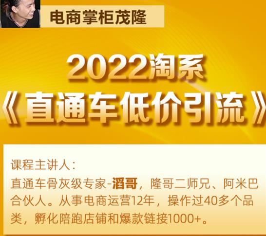 茂隆2022直通车低价引流玩法，教大家如何低投入高回报的直通车玩法-启程资源站