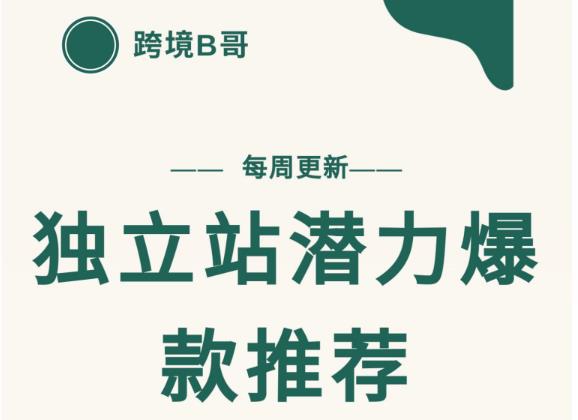 【跨境B哥】独立站潜力爆款选品推荐，测款出单率高达百分之80-启程资源站