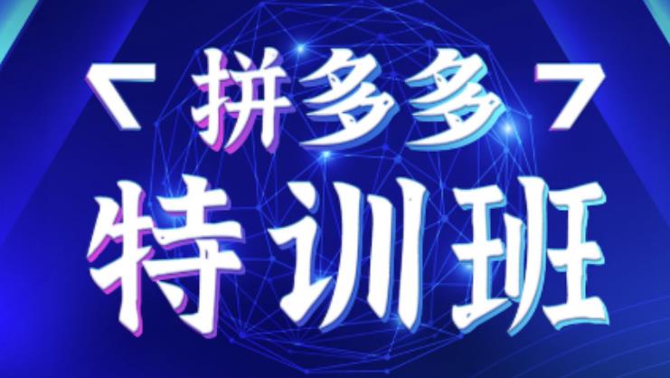 星雪教育·拼多多基础班+进阶班+突破班，用系统的学习模式快速改变现状价值3580元-启程资源站