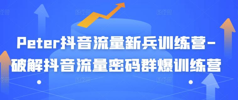 Peter抖音流量新兵训练营-破解抖音流量密码群爆训练营（新兵）-启程资源站