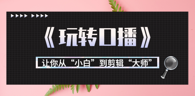 月营业额700万+大佬教您《玩转口播》让你从“小白”到剪辑“大师”-启程资源站