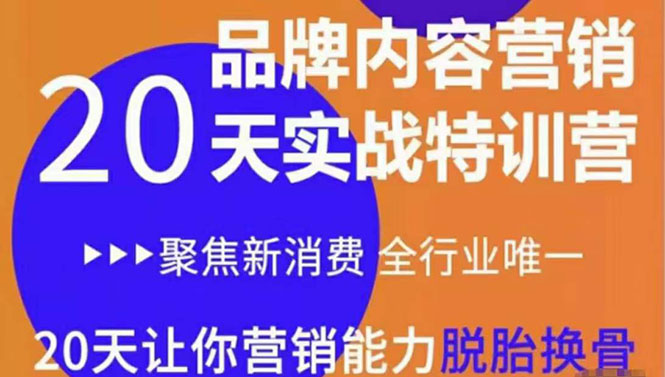《内容营销实操特训营》20天让你营销能力脱胎换骨（价值3999）-启程资源站