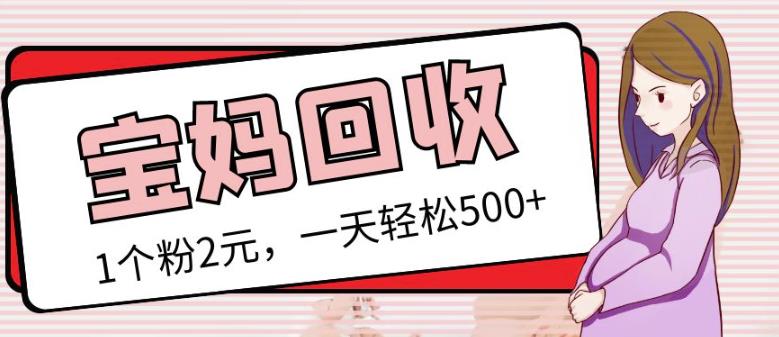 最新小红书母婴号宝妈粉回收项目，1个粉2元，一天轻松500+案例分享【粉丝包回收】-启程资源站