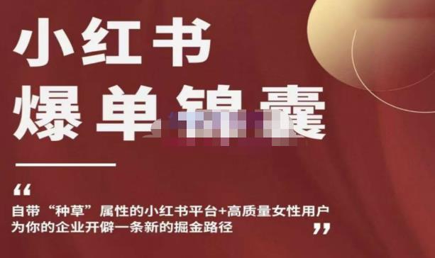 小红书爆单锦囊，自带种草属性+高质量女性用户，为你的企业开辟一条新的掘金路径-启程资源站