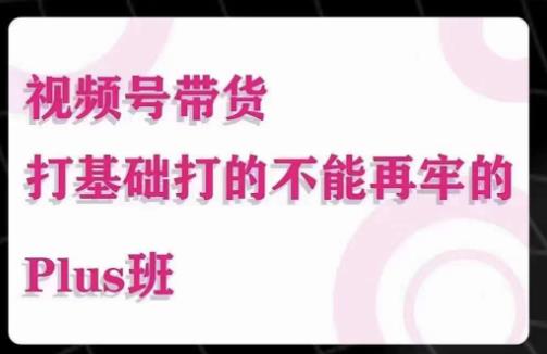 大播汇·视频号带货Puls班，视频号底层逻辑，起号自然流鱼塘等玩法-启程资源站