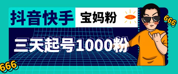 抖音快手三天起号涨粉1000宝妈粉丝的核心方法【详细玩法教程】-启程资源站