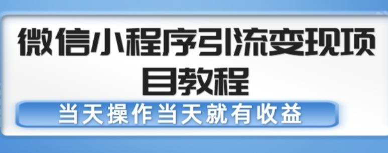 微信小程序引流变现项目教程，当天操作当天就有收益，变现不再是难事-启程资源站