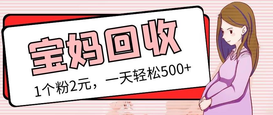 最新宝妈粉回收变现计划及胎教音乐高端变现玩法全套教程！（非老玩法）-启程资源站