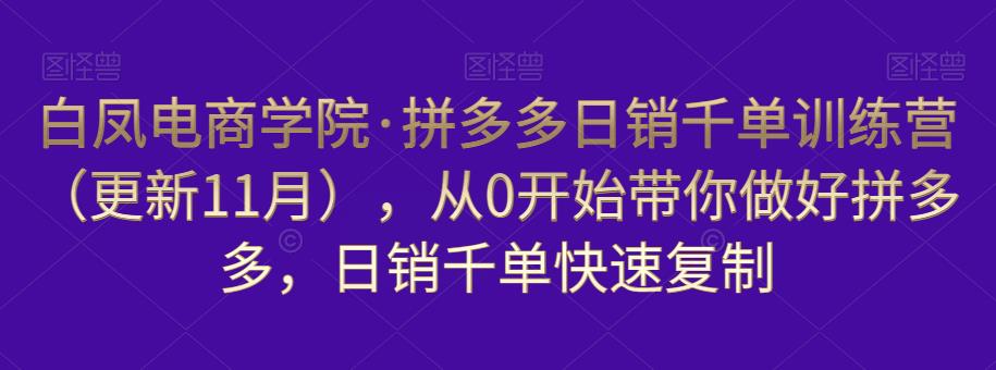 白凤电商学院·拼多多日销千单训练营，从0开始带你做好拼多多，日销千单快速复制（更新知2023年3月）-启程资源站