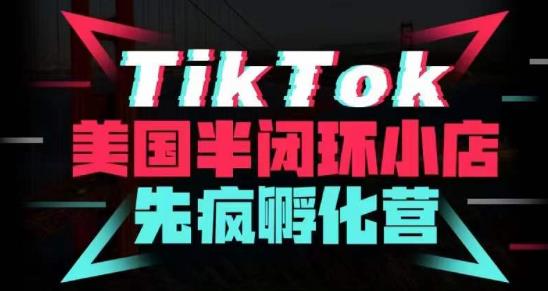 疯人院·TikTok美国半闭环小店孵化营，抢占TikTok美国蓝海市场，开店、运营、带货、投流全实操-启程资源站