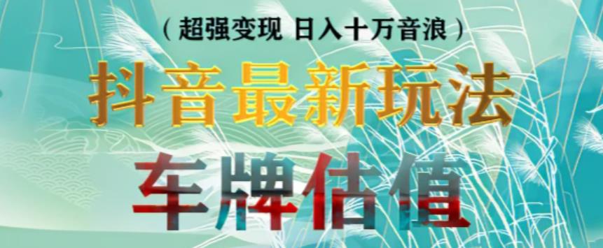 抖音最新无人直播变现直播车牌估值玩法项目，轻松日赚几百+【详细玩法教程】-启程资源站