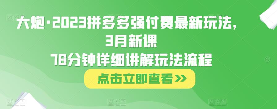 大炮·2023拼多多强付费最新玩法，3月新课​78分钟详细讲解玩法流程-启程资源站