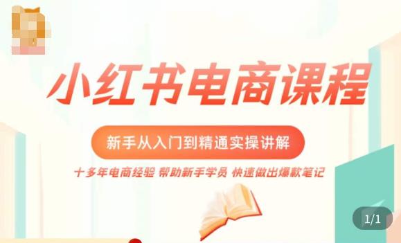 小红书电商新手入门到精通实操课，从入门到精通做爆款笔记，开店运营-启程资源站