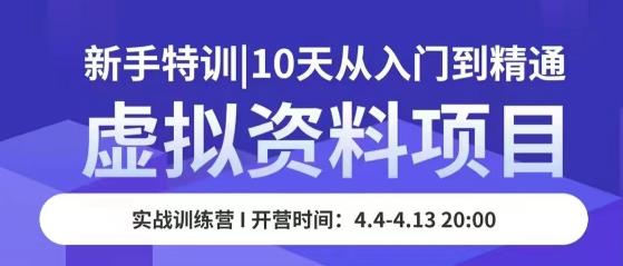 虚拟资料项目新手特训，10天从入门到精通，保姆级实操教学-启程资源站