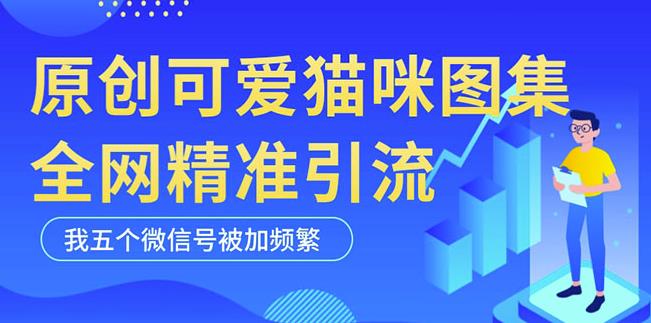 黑科技纯原创可爱猫咪图片，全网精准引流，实操5个VX号被加频繁-启程资源站