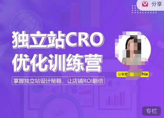 独立站CRO优化训练营，掌握独立站设计秘籍，打造高转化的独立站，让店铺ROI翻倍-启程资源站
