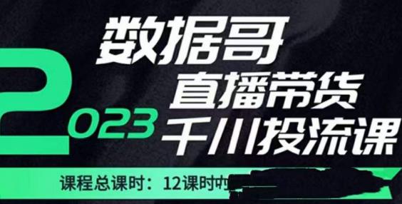 数据哥2023直播电商巨量千川付费投流实操课，快速掌握直播带货运营投放策略-启程资源站