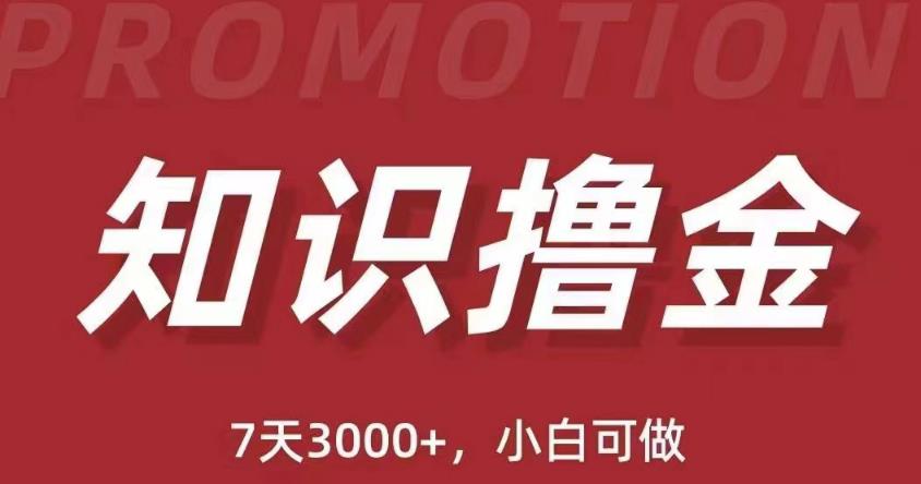 抖音知识撸金项目：简单粗暴日入1000+执行力强当天见收益(教程+资料)-启程资源站