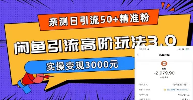 亲测日引50+精准粉，闲鱼引流高阶玩法3.0，实操变现3000元【揭秘】-启程资源站