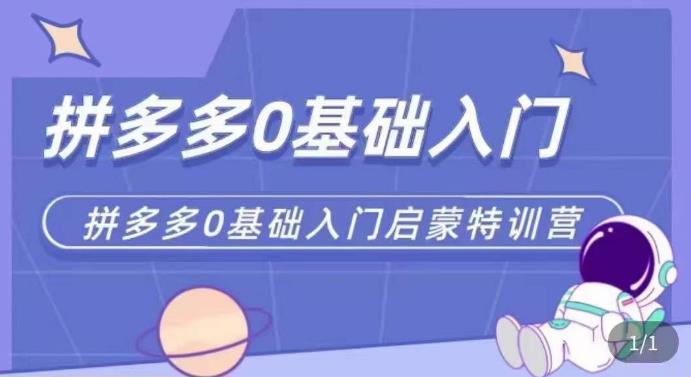 拼多多运营0-1实操特训营，拼多多0基础入门，从基础到进阶的可实操玩法-启程资源站