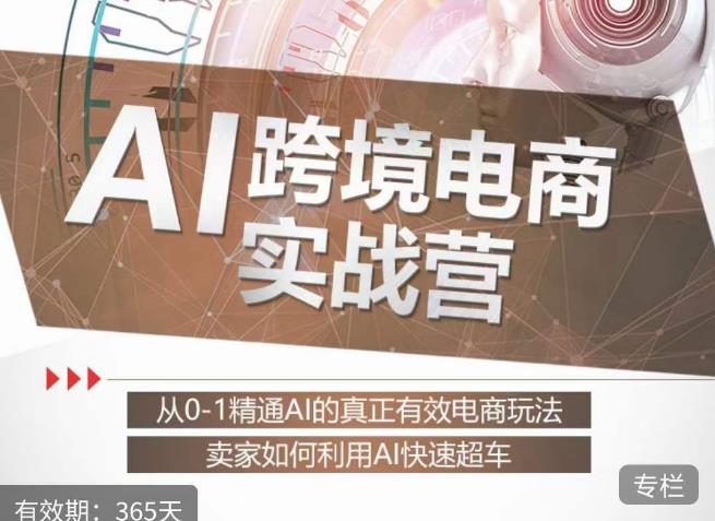 白龙老师·AI跨境电商实战营：从0-1精通Al的真正有效电商玩法，卖家如何利用Al快速超车-启程资源站