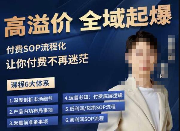 逸风-拼多多高溢价全域起爆，6大课程体系，付费玩法全套实操-启程资源站