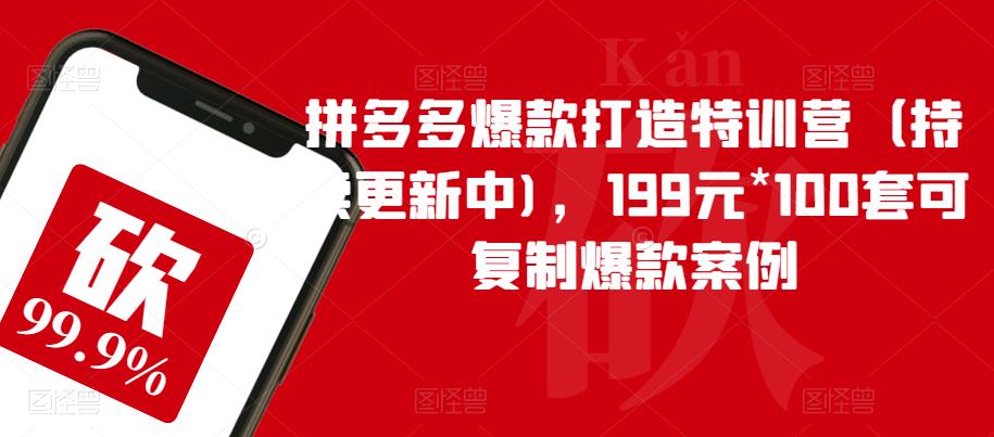 拼多多爆款打造特训营（持续更新中)，199元*100套可复制爆款案例-启程资源站