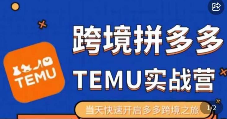 大鹏出海·拼多多跨境temu运营指导，开店注册+选品+核价上架，日出千单实战课-启程资源站