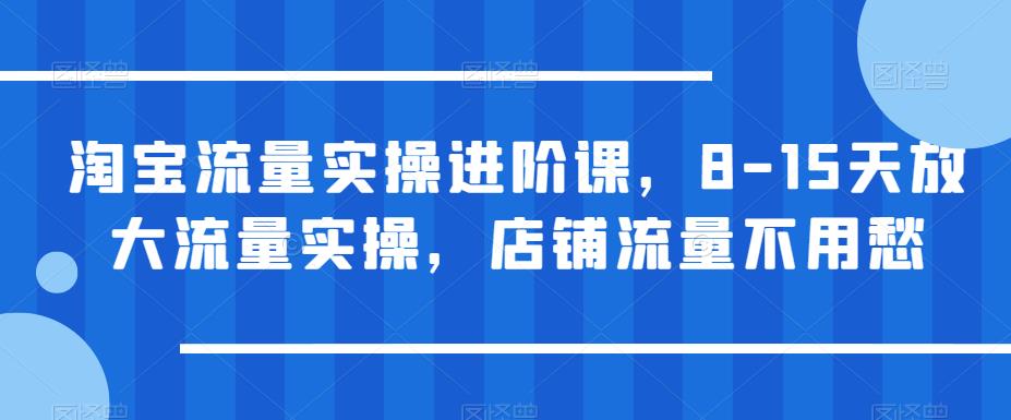 淘宝流量实操进阶课，8-15天放大流量实操，店铺流量不用愁-启程资源站