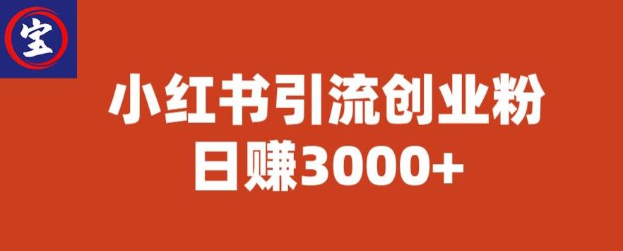 宝哥小红书引流创业粉，日赚3000+【揭秘】-启程资源站