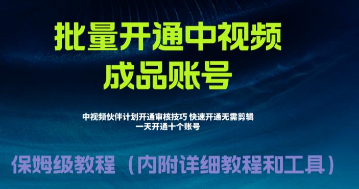 外面收费1980的暴力开通中视频计划教程，内附详细的快速通过中视频伙伴计划的办法-启程资源站