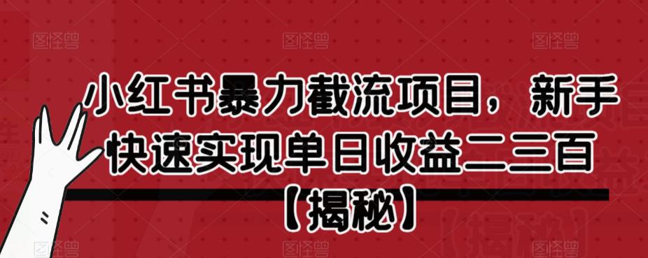 小红书暴力截流项目，新手快速实现单日收益二三百【仅揭秘】-启程资源站