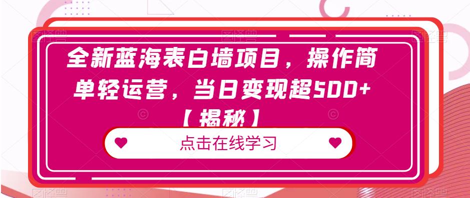 全新蓝海表白墙项目，操作简单轻运营，当日变现超500+【揭秘】-启程资源站