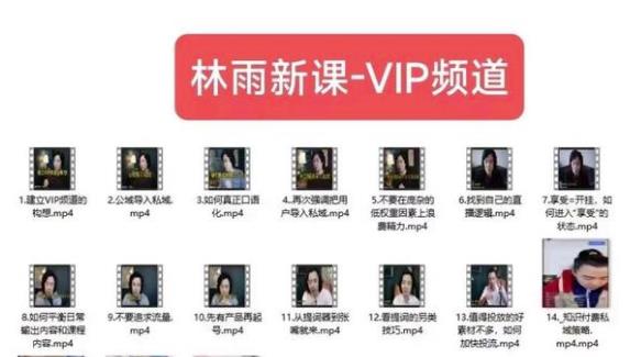 林雨新课VIP频道，玩赚私域/朋友圈/社群-启程资源站