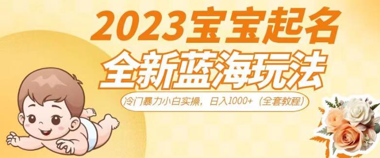 2023宝宝起名全新蓝海玩法，冷门暴力小白实操，日入1000+（全套教程）【揭秘】-启程资源站