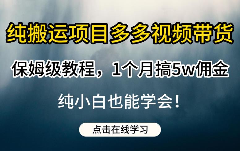 纯搬运项目多多视频带货保姆级教程，1个月搞5w佣金，纯小白也能学会【揭秘】-启程资源站