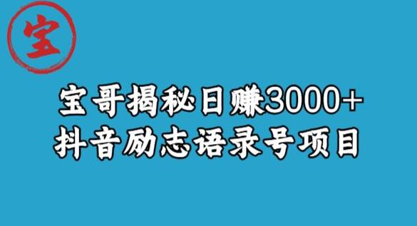 宝哥揭秘日赚3000+抖音励志语录号短视频变现项目-启程资源站