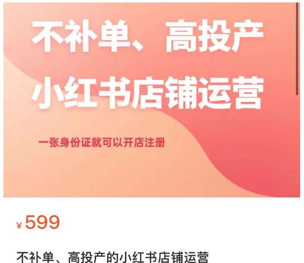 不补单、高投产的小红书店铺运营，一张身份证就可以开店注册-启程资源站
