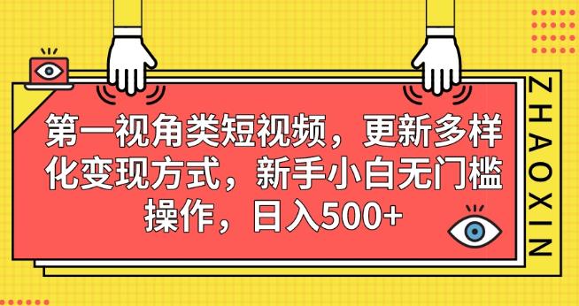 第一视角类短视频，更新多样化变现方式，新手小白无门槛操作，日入500+【揭秘】-启程资源站