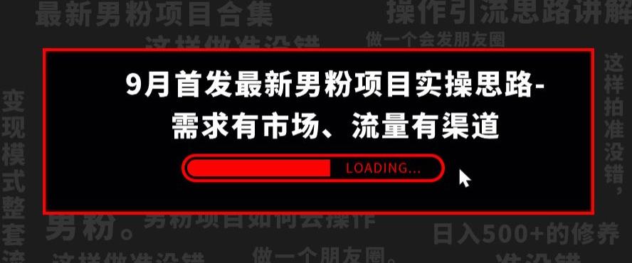 9月首发最新男粉项目实操思路-需求有市场，流量有渠道【揭秘】-启程资源站
