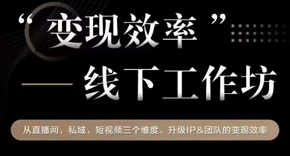 变现效率线下工作坊，从‮播直‬间、私域、‮视短‬频‮个三‬维度，升级IP和团队变现效率-启程资源站